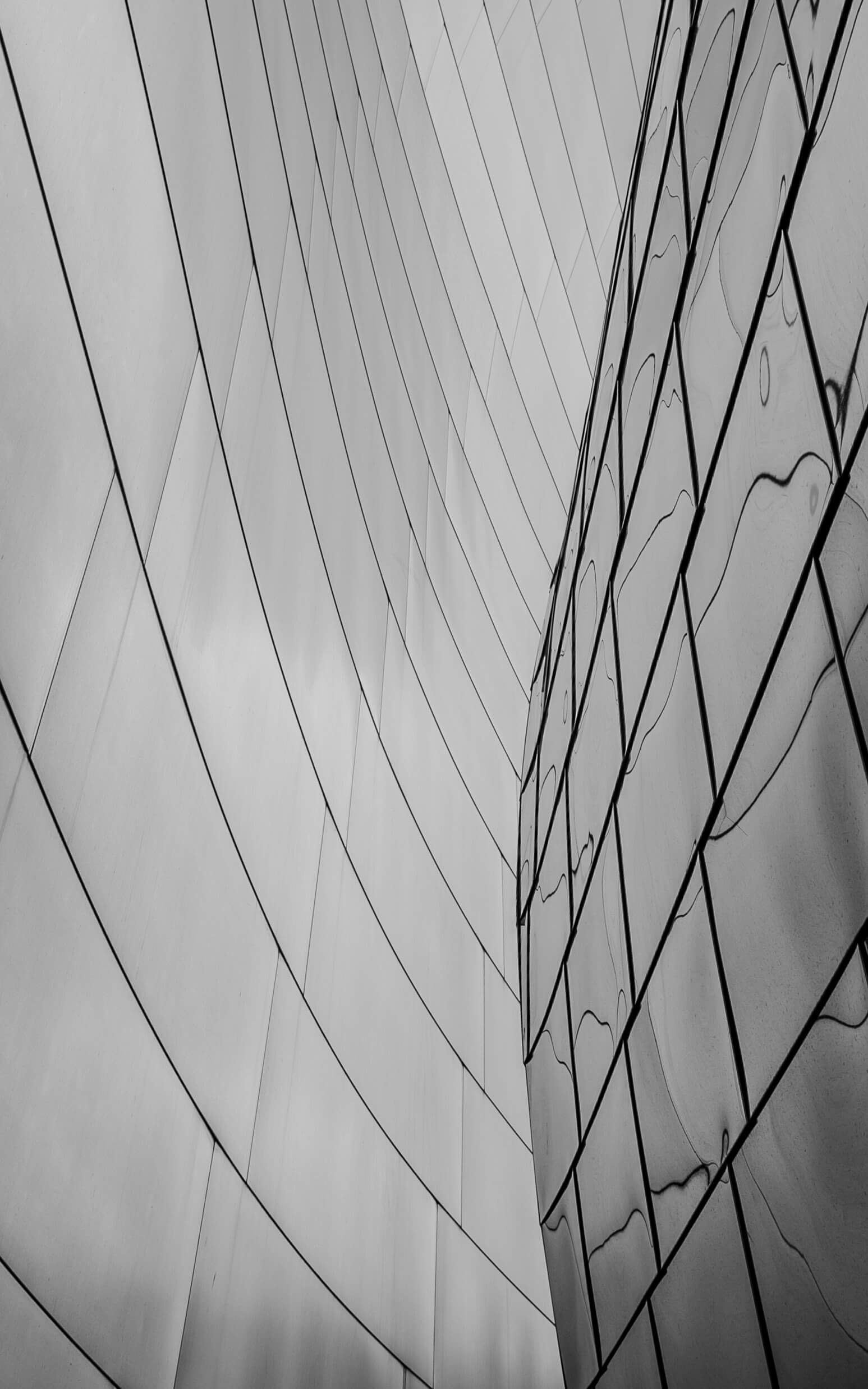 Steel Ribbons — Los Angeles, CA