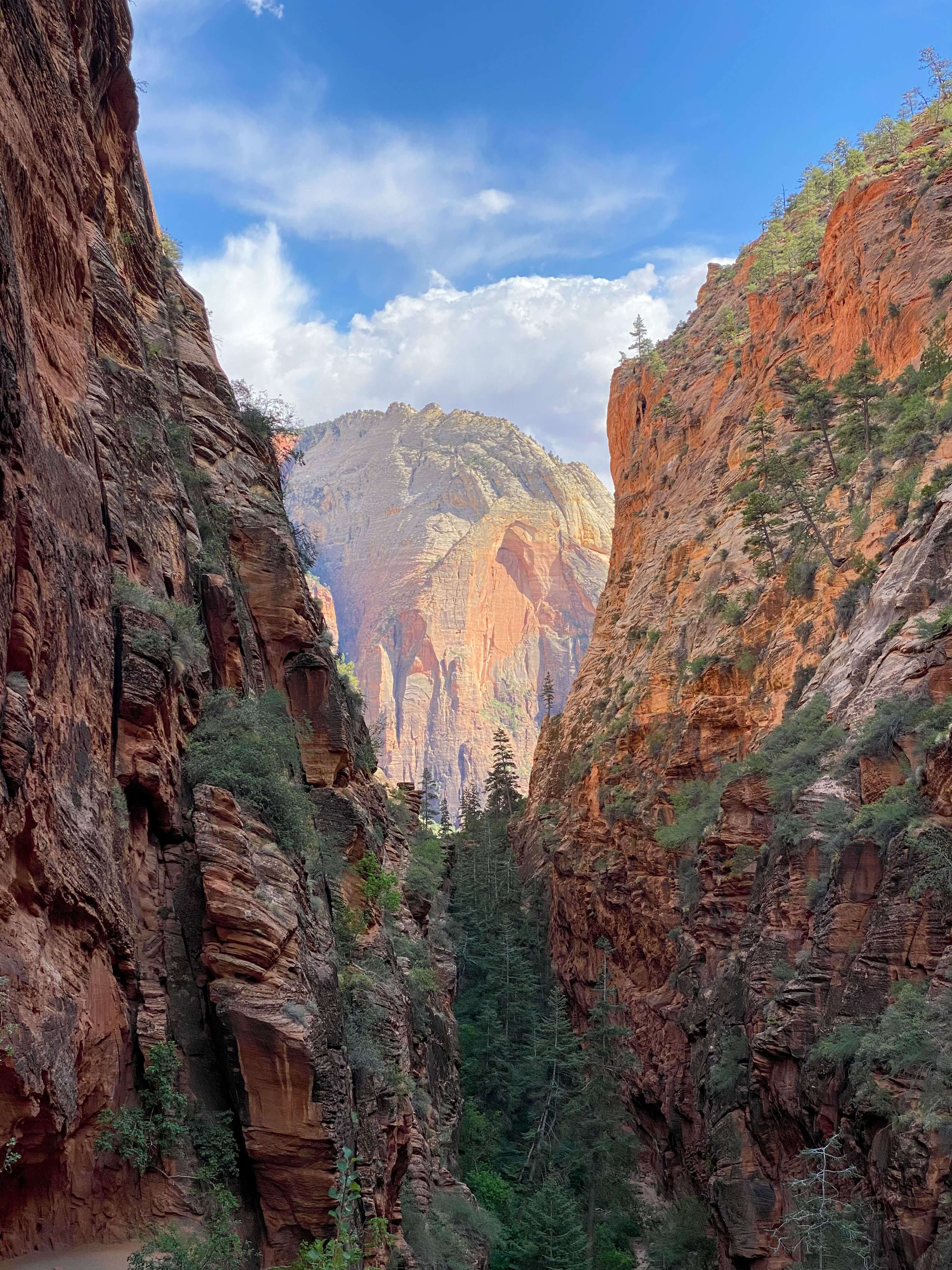 Canyon Walls — Zion, Utah